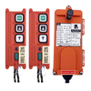 F21-2D Industrial Small Electric Winch Telecrane Radio Remote control remoto